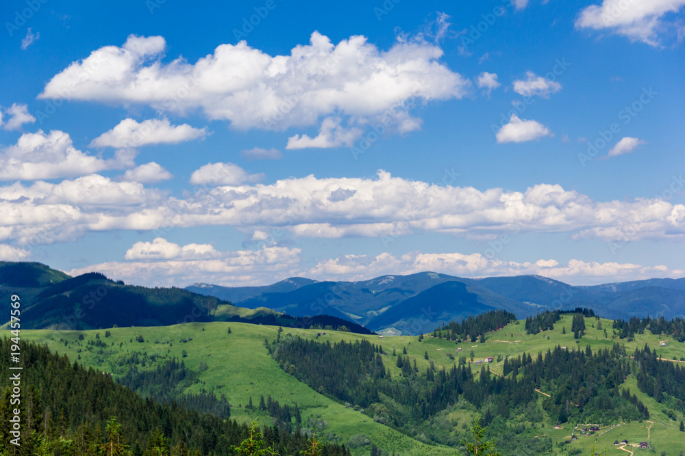 landscape of a Carpathians mountains with fir-trees, grassy valley and sky