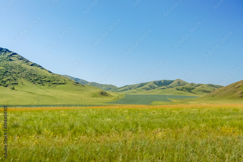 Lush grasslands of central Mongolian steppe
