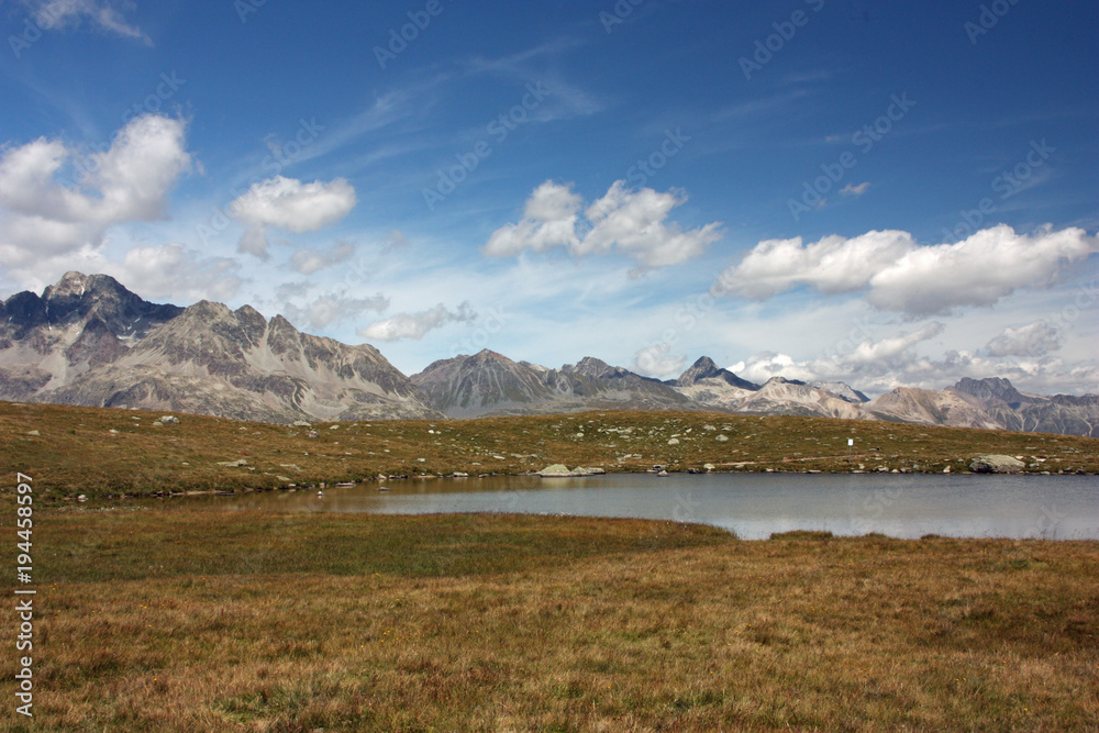 Meadow with lake at Swiss Alps Peaks