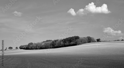 Panoramic black and white landscape. Huge expanse of farm land - ploughed field rising up to a small wood or copse on the horizon. Summer sky with fluffy white clouds.