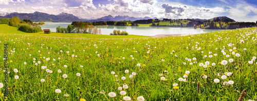 panoramic scene with lake Forggensee and alps mountains in region Allgäu, Bavaria, at spring
