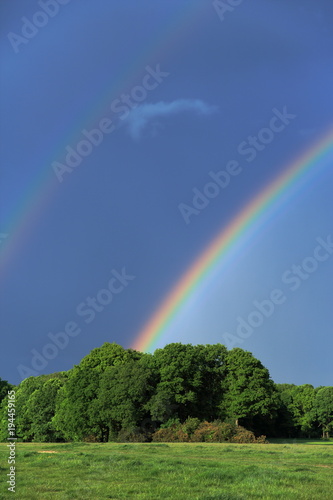 Intense vivid rainbow in a stormy dark sky after a spring thunderstorm. End of a thunderstorm showing a bright full spectrum rainbow touching the tops of trees against deep blue/grey cloudy sky.