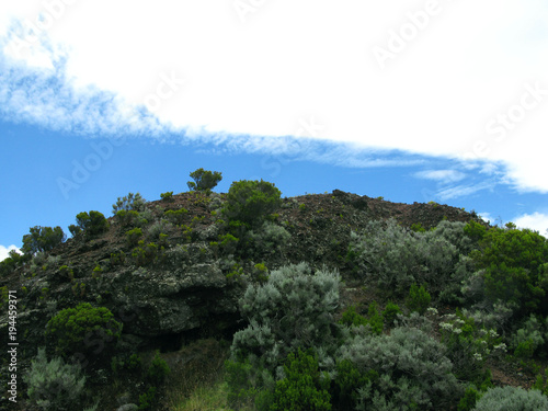 La Plaine des Cafres / La Reunion: Varied vegetation on a small hill at the edge of the Route du Volcan