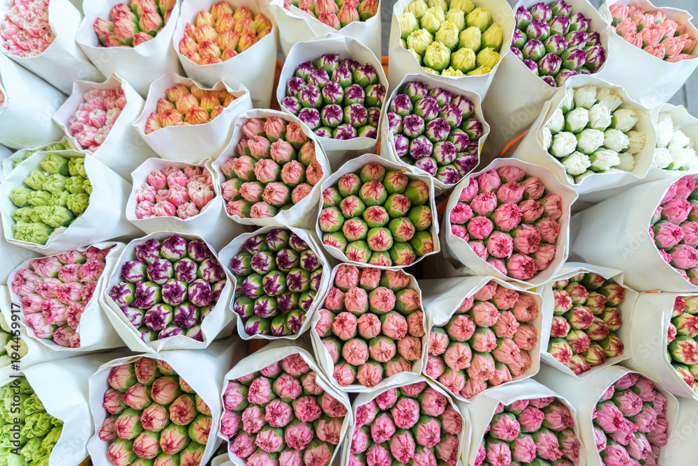 Colorful photo of many fresh carnation bouquets of flowers in the Hong Kong flower market. Colorful photo of many fresh carnation bouquets of flowers in the Hong Kong flower market.