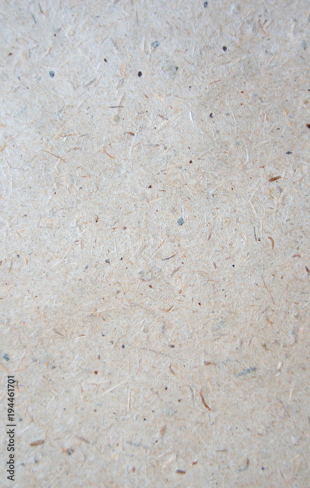 background of strotelny material, light gray tree, the pressed paper background of strotelny material, light gray tree, the pressed paper