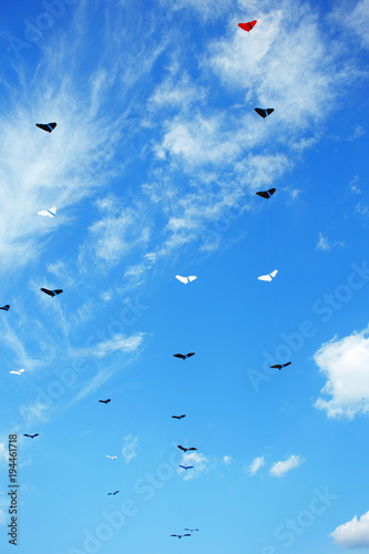 Group of kites in the blue sky