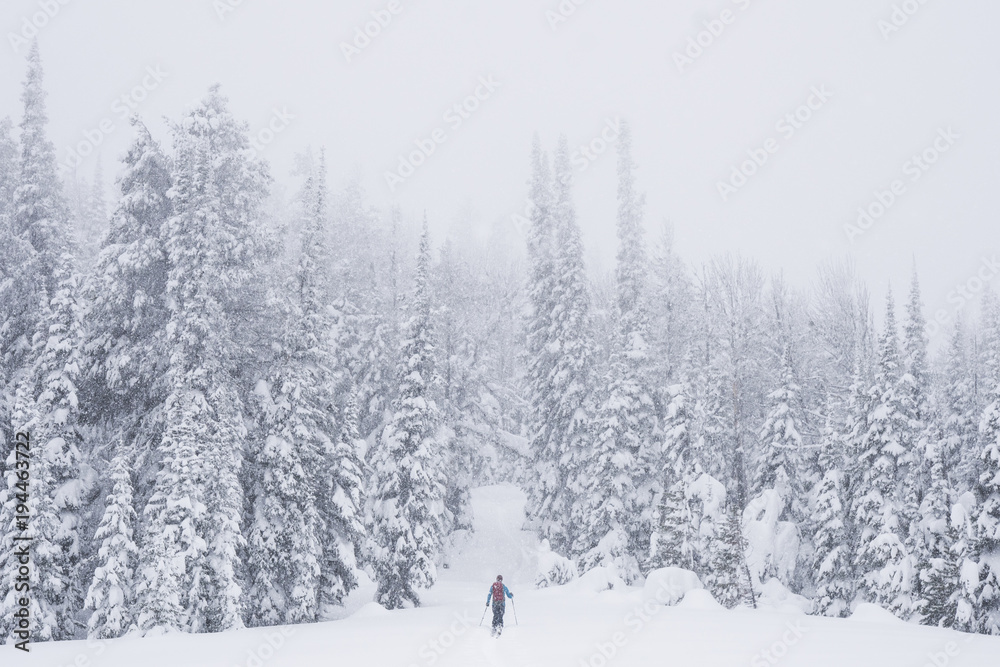 Backcountry skier in snowy landscape