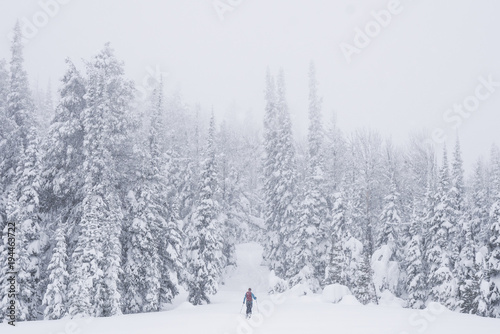 Backcountry skier in snowy landscape © Erik