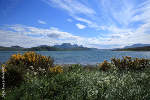 Panoramic distant blue mountains and cloud stand at the back of a sea loch in north west Scotland UK. Green foliage with yellow flowers at the edge of a Scottish sea loch under a sweeping blue sky 