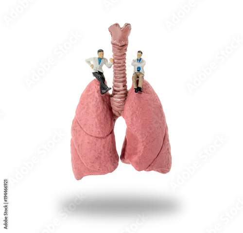 Miniature doctor and nurse "team specialists" observing and discussing about human lungs, Science and Medical Concept