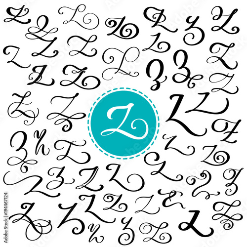 Hand drawn vector calligraphy letter Z. Script font. Isolated letters written with ink. Handwritten brush style. Hand lettering for logos packaging design poster