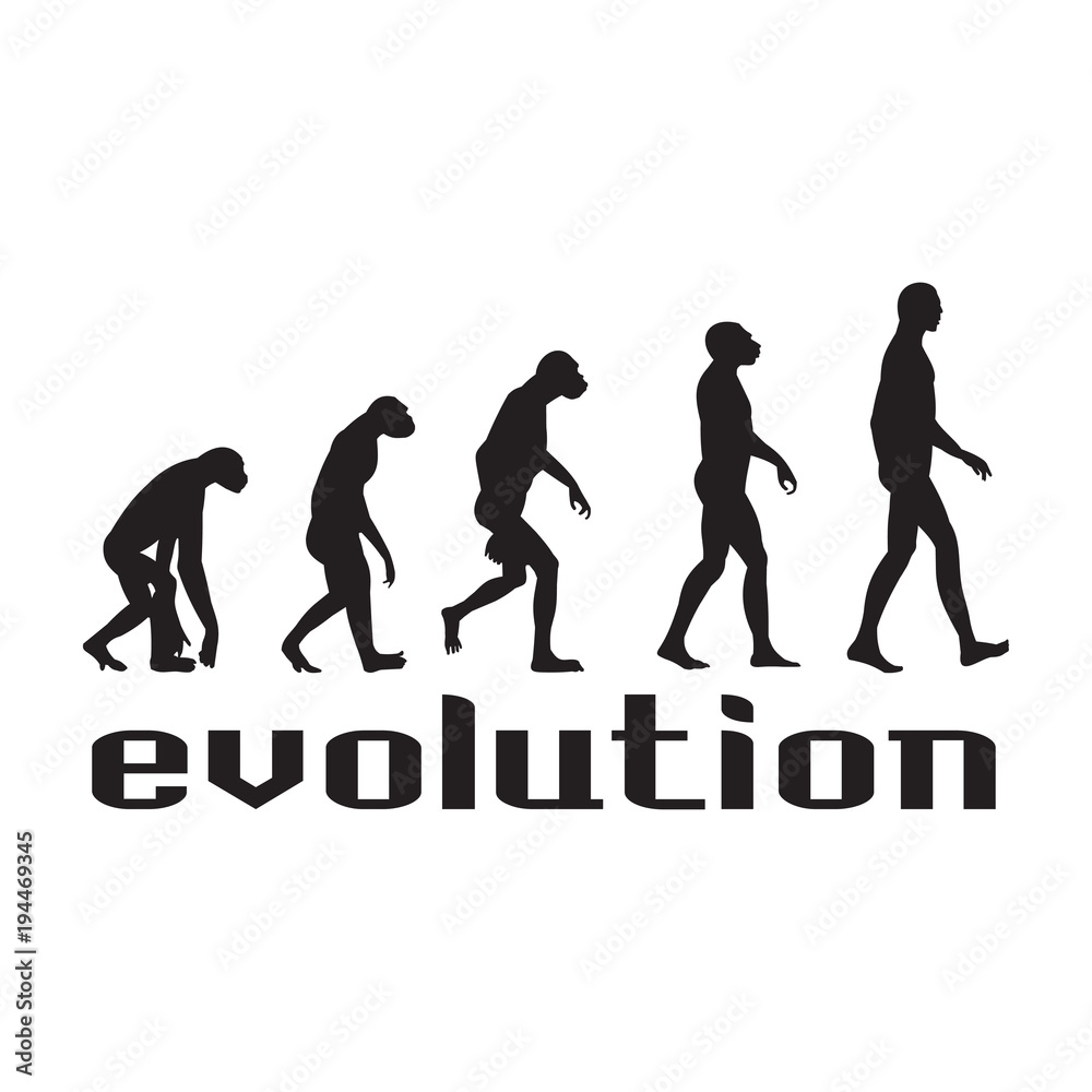 Abstract illustration of evolution