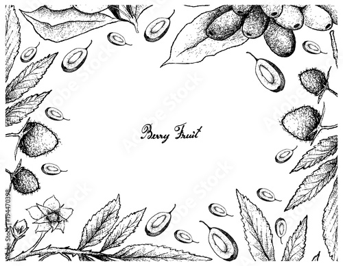 Hand Drawn Frame of Atherton Raspberries and Jambolan Plums