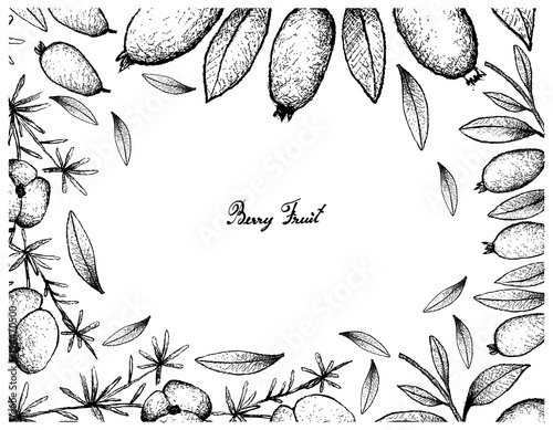Hand Drawn Frame of Asparagus Fern Fruit and Arrayan Fruits photo