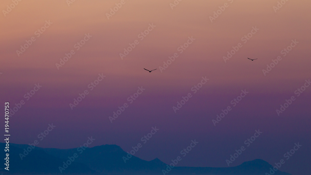 Simple colorful sky with two birds right after sunset