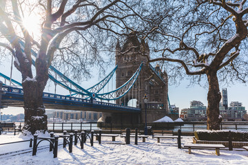 Tower bridge and trees in London with snow