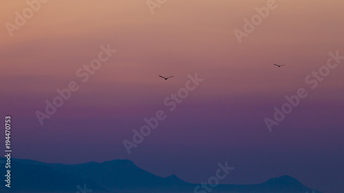 Simple colorful sky with two birds right after sunset