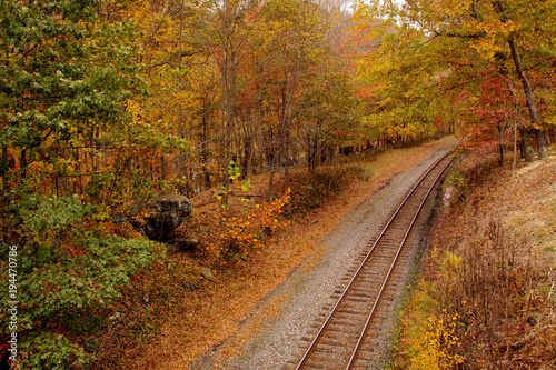 Railroad tracks fading into distance in Autumn forest.