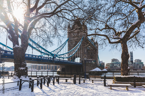 Tower bridge and trees in London with snow