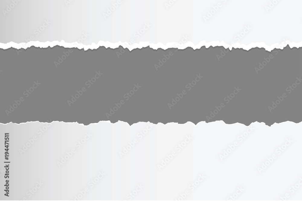 Fototapeta premium vector of ripped torn paper with blank copyspace