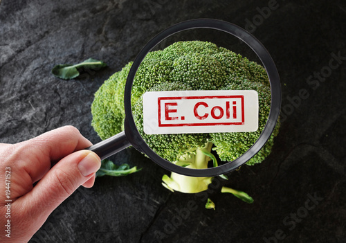 Cuadro en lienzo E Coli contamination