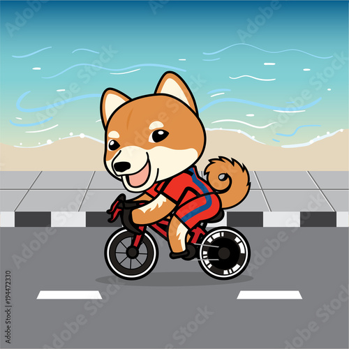 Cute cartoon character design Shiba Inu dog action ridding a bicycle on street , beach background