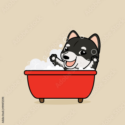 Cute cartoon character design Black Shiba Inu dog take a bath in red bathtub with soap bubbles