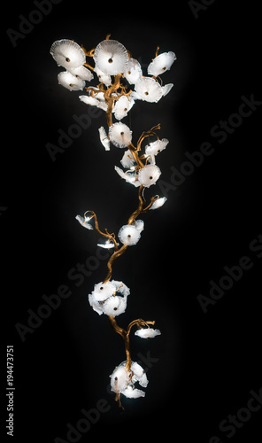 Large chandelier made in the form of a flower isolated on black background