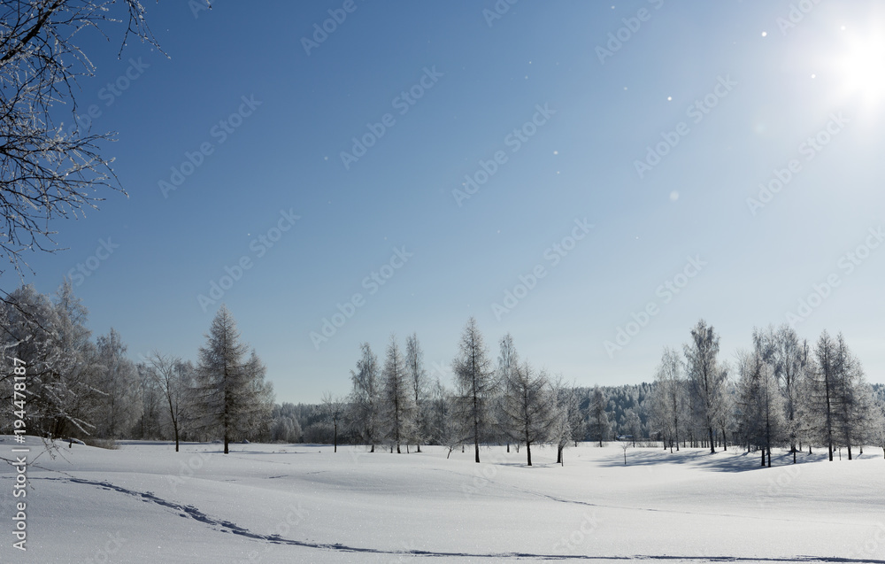 Beautiful wintry landscape. Sunny winter day with freezing temperature. Beautiful wintry landscape. Sunny winter day with freezing temperature.