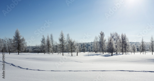 Beautiful wintry landscape. Sunny winter day with freezing temperature.