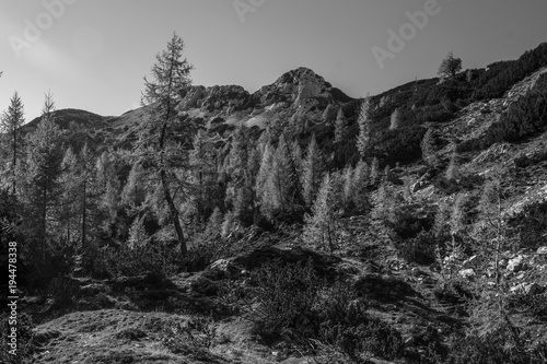 Triglav Lakes