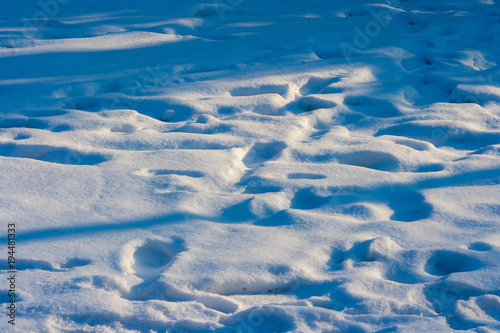 Full of traces on the snow