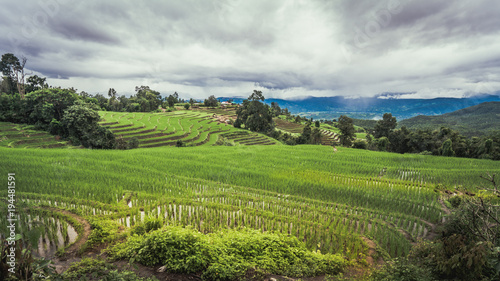 Rice Terrace Field
