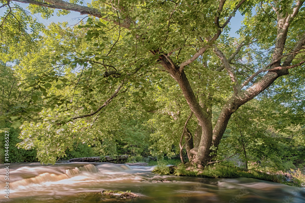 Fototapeta premium Beautiful Springtime River