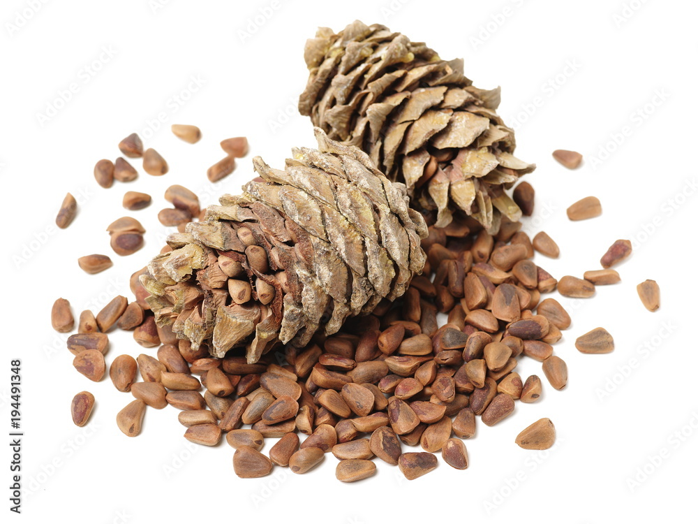 multiple pine nuts and pine cone on white background multiple pine nuts and pine cone on white background