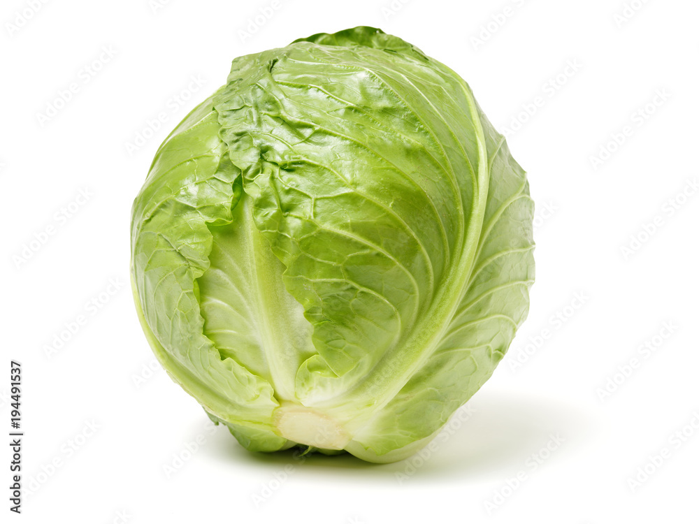 Fototapeta premium cabbage on white background 
