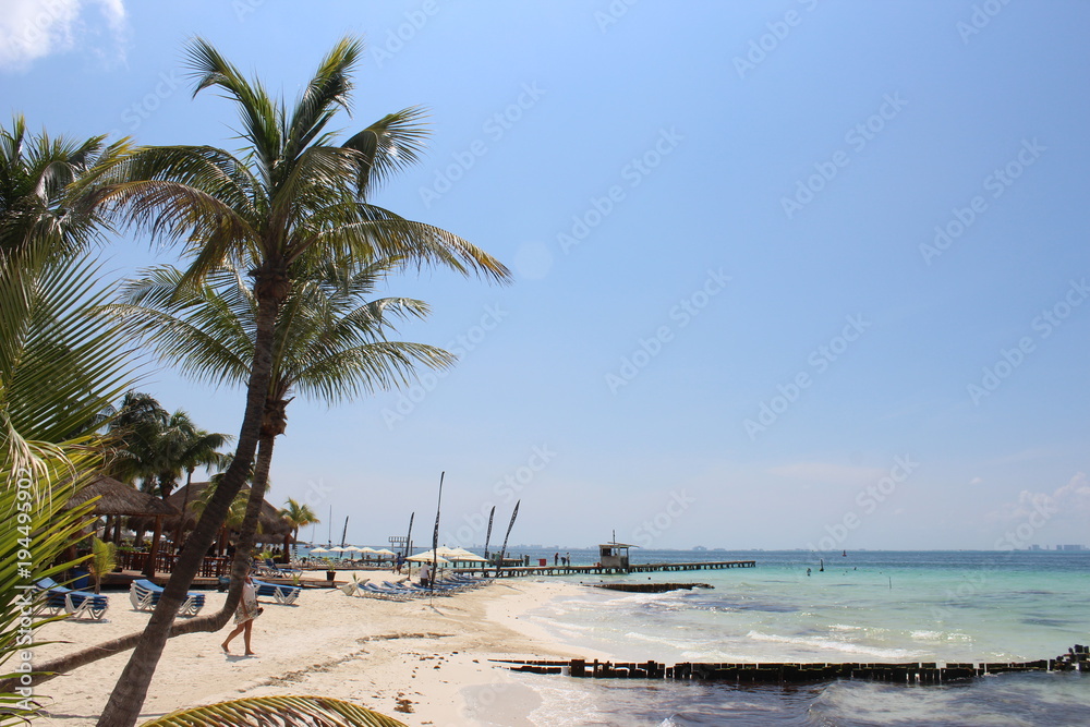 Obraz premium Plaża