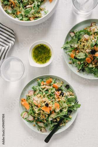 Sprouted Lentil and Farro Spring Salad