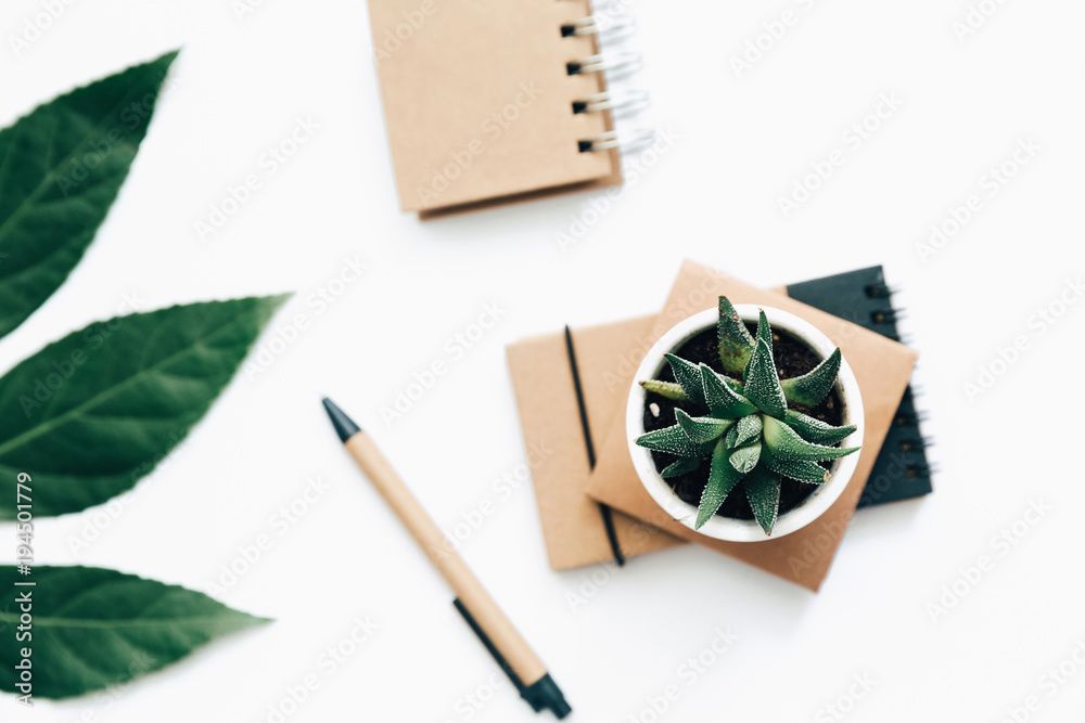 desk workspace with succulent and craft notepad on white background. flat lay, top view