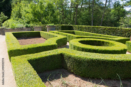 Labyrinth garden maze with green leaves and circular shape with clay pots
