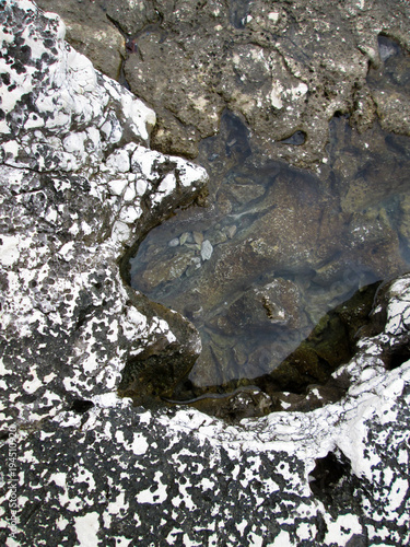 Stone texture on rock near seashore