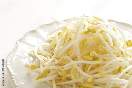 freshness soy sprout on dish for healthy food ingredient image