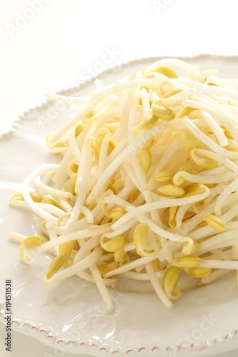 freshness soy sprout on dish for healthy food ingredient image