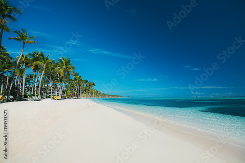 Palmtree and tropical beach