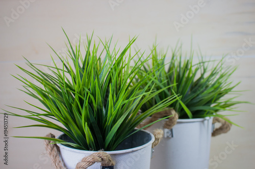 Long blades of green grass isolated on wood background.