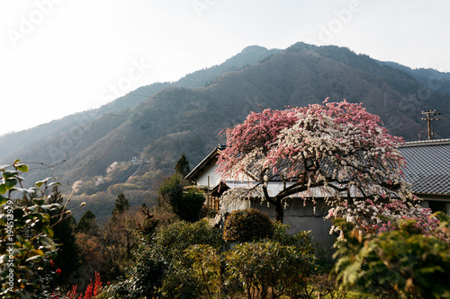 view of small traditional home in japanese village country side remote beautiful location