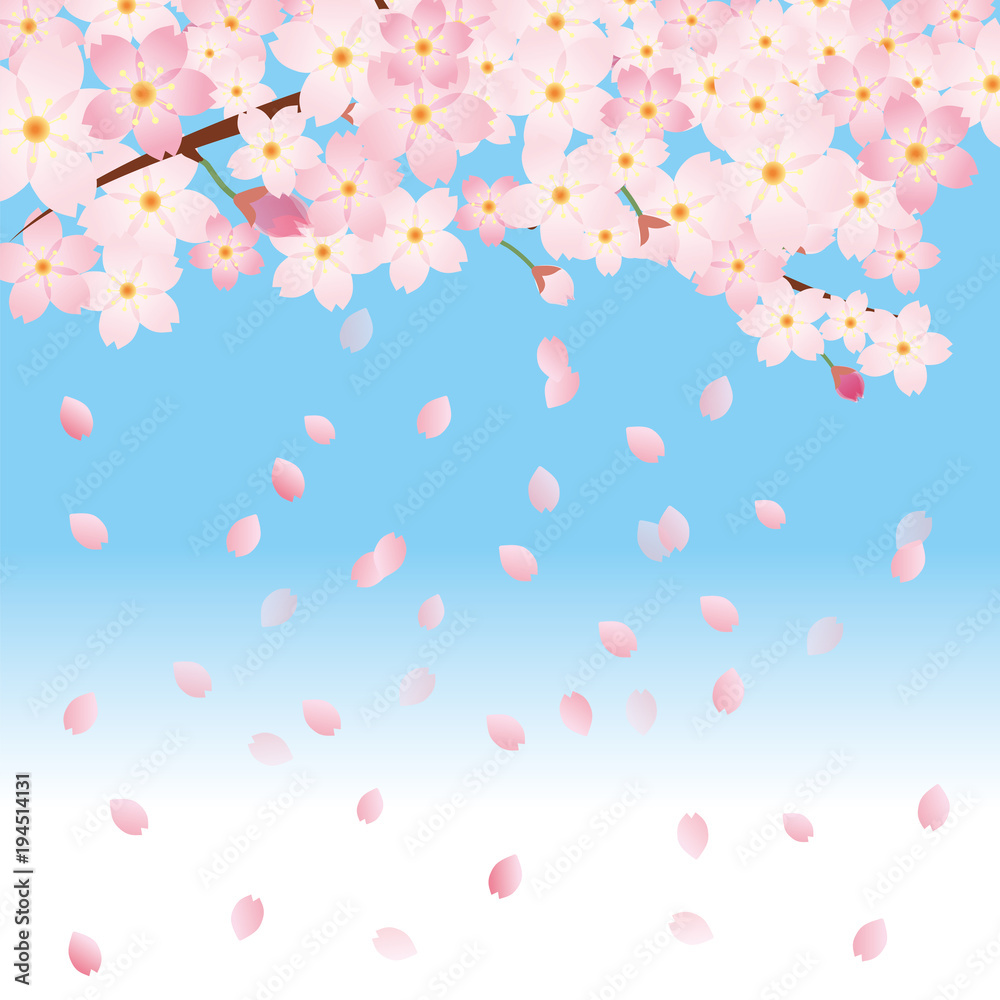 桜吹雪と青空と桜のイラスト 春のイメージの背景画像 桜の木 ソメイヨシノ Stock Vector Adobe Stock