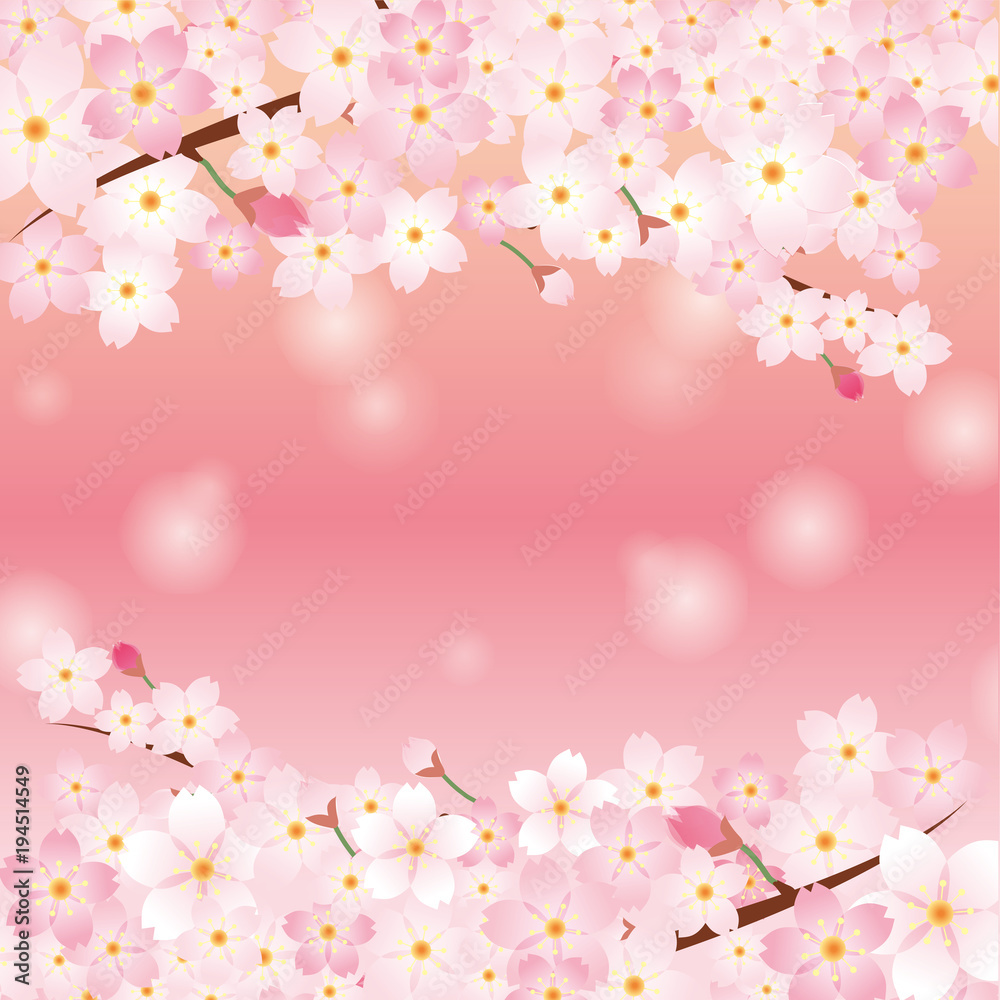 アーチ型の桜のイラスト 白バック 春のイメージの背景画像 桜の木 ソメイヨシノ Stock Vector Adobe Stock