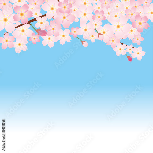 桜のイラスト 青空バック 春のイメージの背景画像 桜の木 ソメイヨシノ Stock Vector Adobe Stock 桜のイラスト 青空バック 春のイメージの背景画像 桜の木 ソメイヨシノ Stock Vector Adobe Stock