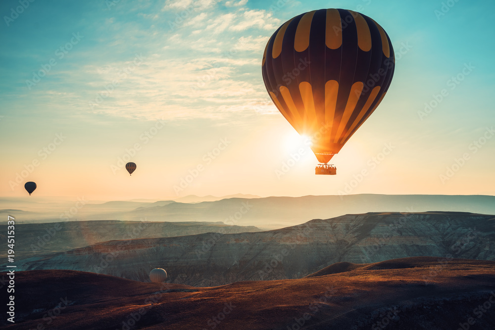Naklejka premium Balony latające nad doliną w Kapadocji.